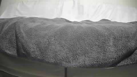 Casey online show from September 2025 04:12:01 PM