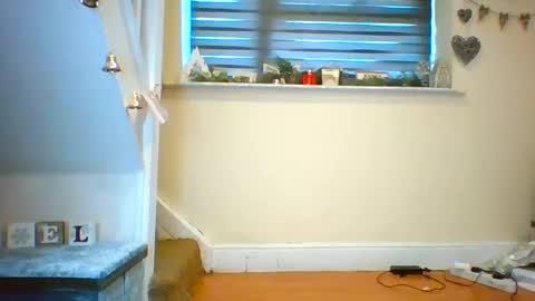 Tinyasian911718 sweetinyasian instagram online show from December 2024 01:34:02 PM