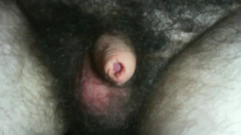 tinycocker online show from December 2025 10:38:02 PM