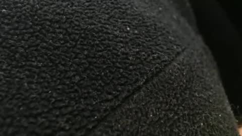 tinyslut66 online show from November 2025 10:59:02 PM