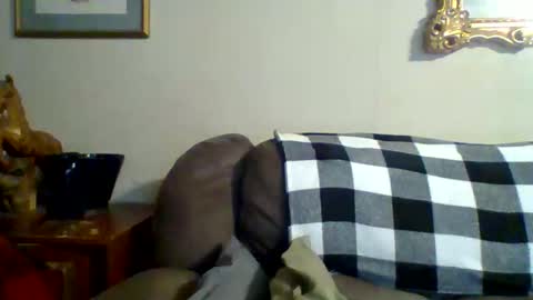 Vols online show from March 2025 01:37:02 AM