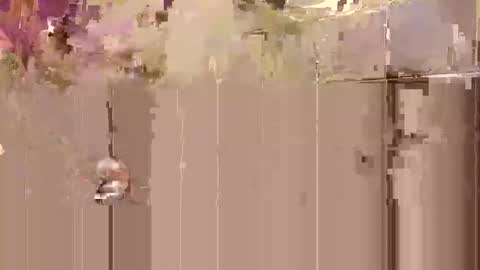 Toby Obeys online show from October 2025 03:32:02 AM