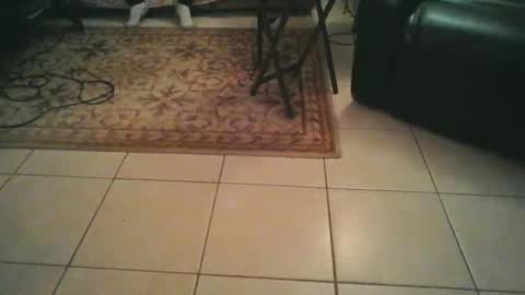 sirmuggsalot online show from March 2026 07:02:02 AM