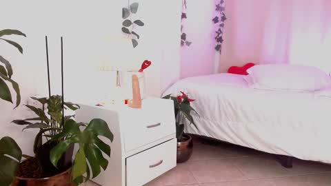 Tommy Foxboy online show from February 2025 05:15:01 PM