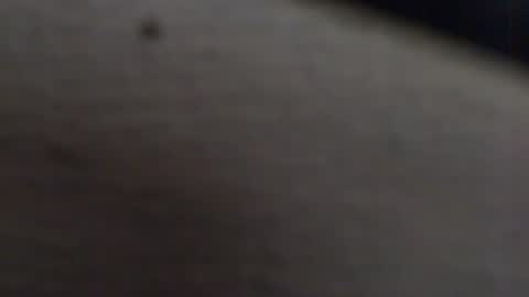 tony2700targa online show from January 2025 03:47:02 PM