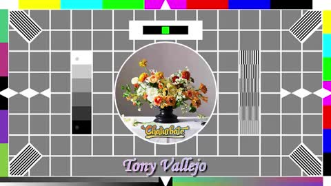 Snapshot of tony_vallejo chatting on October 2025 09:54:01 AM Tony V online show from October 2025 09:54:01 AM