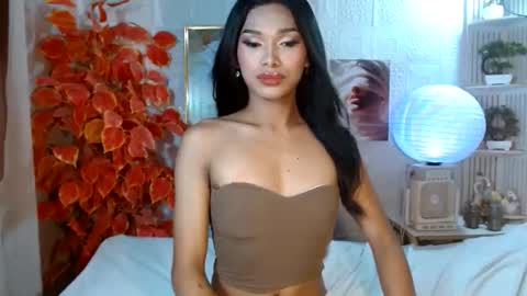 toptrans venice online show from April 2026 07:13:01 AM