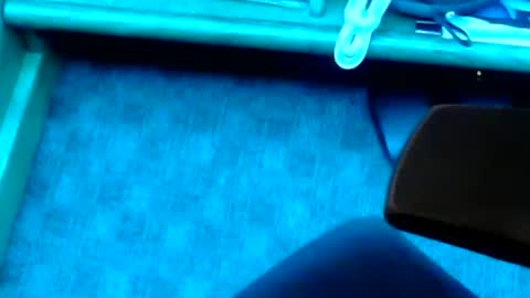 tornne online show from February 2025 01:19:02 PM