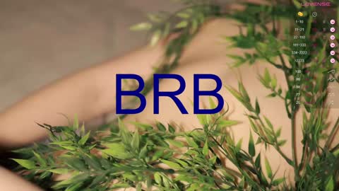 Toshi online show from January 2025 04:06:01 PM