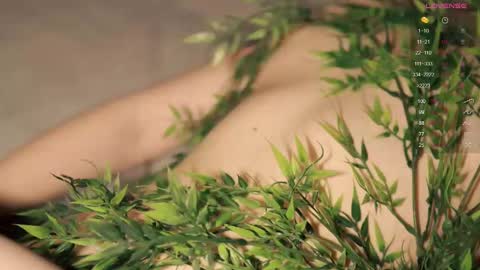 Toshi online show from February 2025 01:01:01 PM