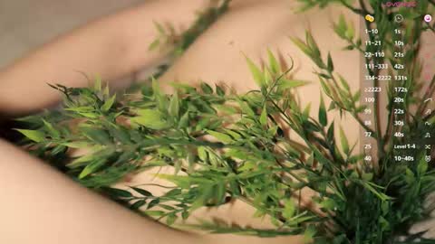 Toshi online show from February 2026 01:03:02 PM