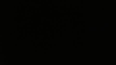 totoro_239 online show from March 2026 08:36:02 PM