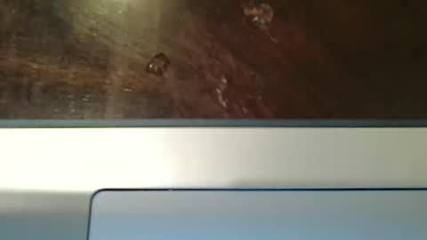 totxxx335 online show from December 2025 08:57:01 PM