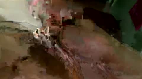 toung2pussycockinyourass online show from March 2026 11:05:02 PM