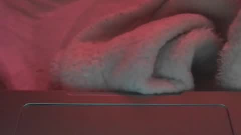 toxicanikki online show from February 2026 08:17:02 PM