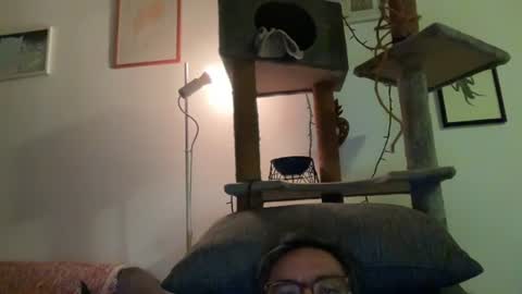 Snapshot of toymex chatting on July 2026 01:59:02 AM toymex online show from July 2026 01:59:02 AM