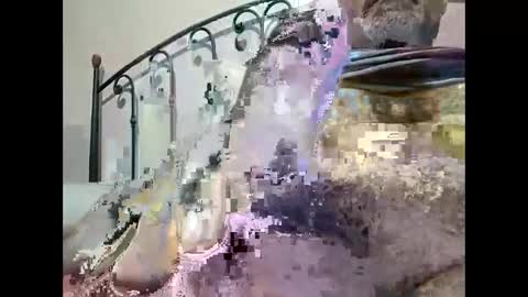 tra649167 online show from December 2024 09:40:02 PM