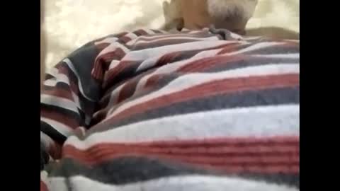 Snapshot of tra649167 chatting on February 2025 08:02:02 PM tra649167 online show from February 2025 08:02:02 PM