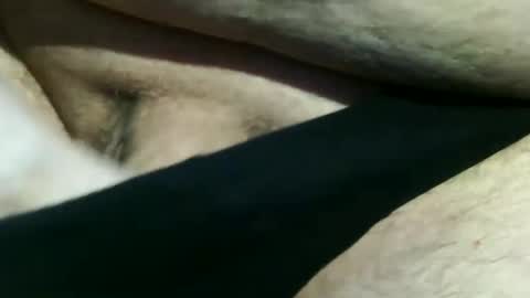 trailblazer1969 online show from December 2024 07:43:02 PM