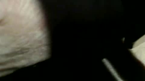 trailblazer1969 online show from March 2026 10:18:01 PM