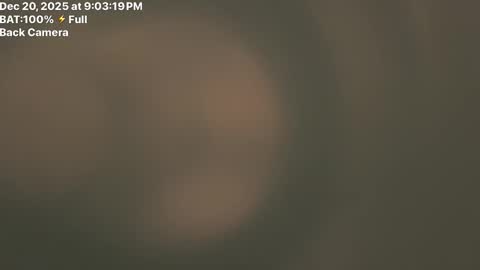 Fembttom online show from December 2025 03:02:02 AM