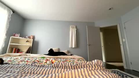 Snapshot of transgirl007 chatting on May 2026 09:12:01 PM transgirl007 online show from May 2026 09:12:01 PM