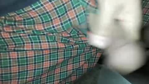 Daddy Edgalot online show from January 2025 07:06:02 AM