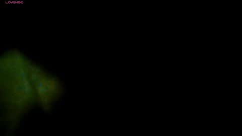 Snapshot of travisdiamonds chatting on November 2025 07:13:01 PM TRAVIS. online show from November 2025 07:13:01 PM