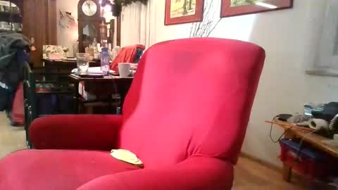 Snapshot of trebgeis1 chatting on January 2026 09:18:01 PM trebgeis1 online show from January 2026 09:18:01 PM