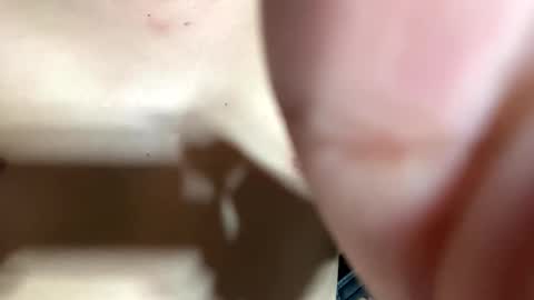 trebz_01 online show from April 2026 12:33:01 PM