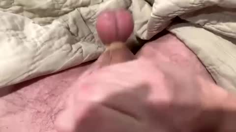 tree553 online show from January 2025 01:56:02 AM