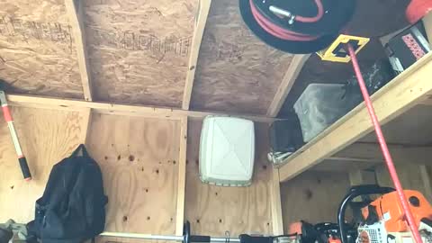 treeman817 online show from May 2026 12:24:01 PM