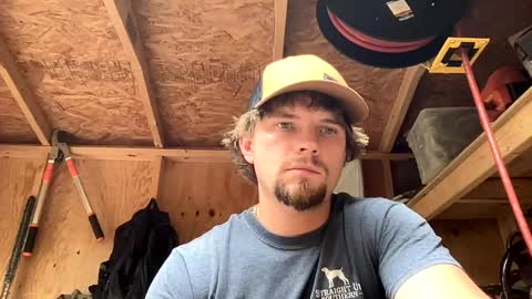 treeman817 online show from June 2026 11:14:01 PM