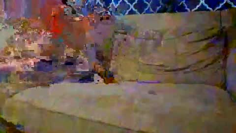 trex23rd online show from December 2025 09:54:02 PM