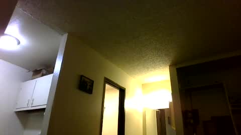 Snapshot of trickydick6 chatting on June 2026 02:41:02 PM trickydick6 online show from June 2026 02:41:02 PM