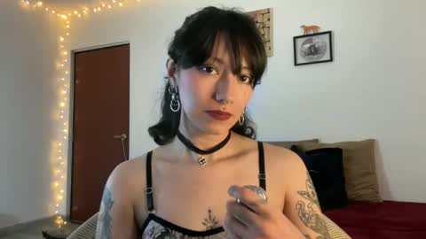 trinitysecrets online show from March 2026 07:53:01 PM