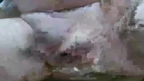 Snapshot of troy1965 chatting on February 2026 06:07:01 AM troy1965 online show from February 2026 06:07:01 AM