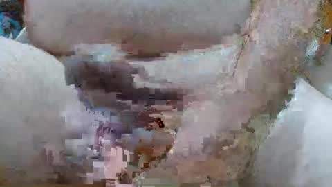 Snapshot of troy1965 chatting on February 2026 04:32:01 AM troy1965 online show from February 2026 04:32:01 AM