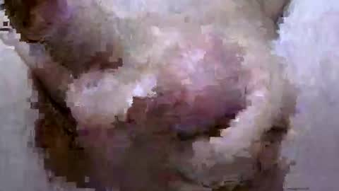 troy1965 online show from April 2026 05:45:01 AM