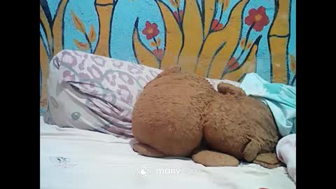 Snapshot of ts_cuumlover chatting on December 2024 01:14:01 AM ts_cuumlover online show from December 2024 01:14:01 AM