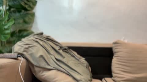 kendall online show from September 2025 07:37:02 PM