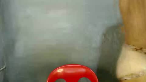 Paulyn online show from January 2026 05:54:02 AM