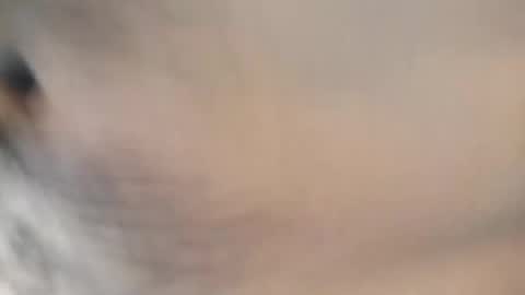 ttimmyt online show from November 2025 08:07:01 PM