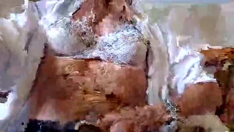 Snapshot of tubaist chatting on September 2025 12:59:02 PM FINN but call me NANNA online show from September 2025 12:59:02 PM