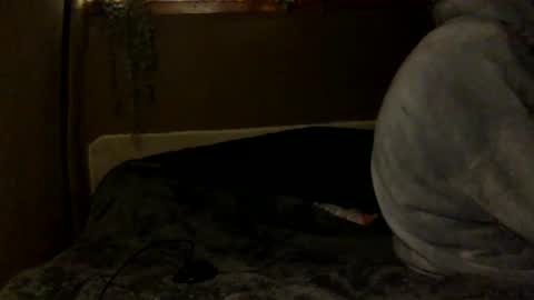 Snapshot of tuhands chatting on February 2025 06:02:02 PM Tuhands online show from February 2025 06:02:02 PM