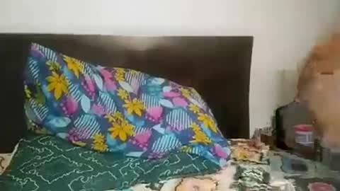 Mario Ramirez online show from July 2026 01:27:01 AM
