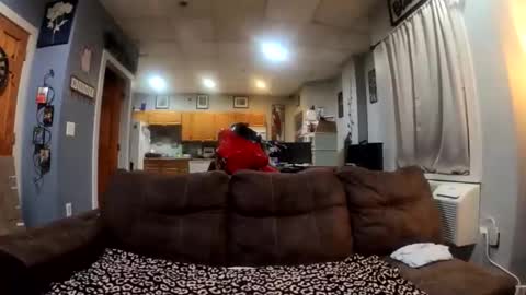 twicethetease2 online show from February 2026 07:34:01 AM