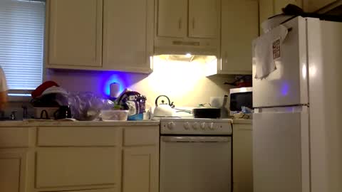 Twin and Lea online show from December 2025 08:38:02 PM