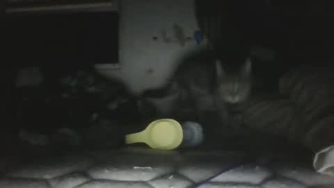 twonkydonk27 online show from December 2025 10:15:02 PM