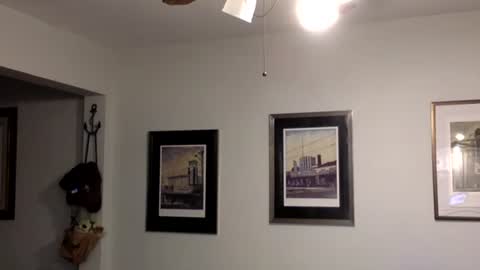 Tyler Durden online show from February 2025 02:07:01 AM